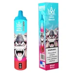 Bang Beach 22000 Vape jetable 22K Puffs 36ML #1
