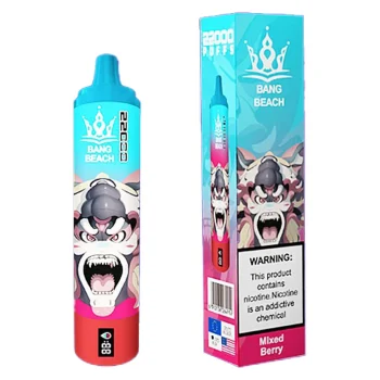 Bang Beach 22000 Disposable Vape 22K Puffs 36ML #1