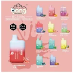 Bang Box BC5000 Wegwerp Vape 5K Puffs 13ML