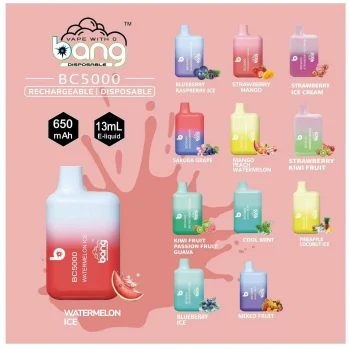 Bang Box BC5000 Disposable Vape 5K Puffs 13ML Flavor List