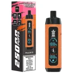 Bang King Shisha 25000 engångsvape 25k puffar vattenpipa 25ML