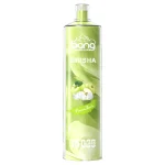 Bang Shisha 15000 Disposable Vape 15K Puffs 23ML Hookah