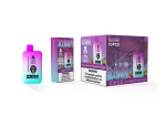Bang king 32000 Disposable Vape 32K Puffs 26mL+26mL Double Pods