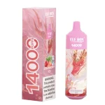 MINT ICE ELF BOX 14000 Vape usa e getta 14K Puffs 25ML