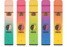 Fryd Vape Kit 2ML engångsvagn 2g 380mAh #1