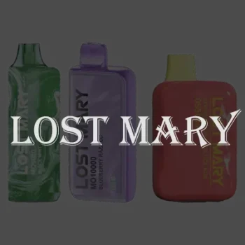Lost Mary