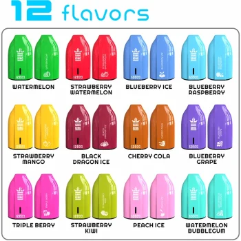 New Bang King 12000 Disposable Vape 12K Puffs 18ML Flavor List