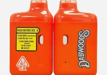 Nieuwe Dabwoods Vape Kit 1ML Wegwerpkar 1g 280mAh #1