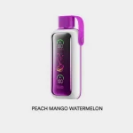 VOZOL STAR 20000 Vape desechable 20k Puffs 26ML EU Warehouse