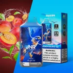 JNR FALCON 16000 Disposable Vape 16K Puffs 22ML
