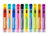 Packwoods Vape Kit 2ML Wegwerpverpakking 2g 380mAh #1