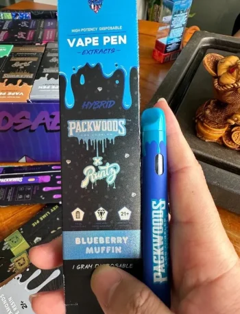 Packwoods Vape Kit 2ML Disposable Cart 2g real photograph
