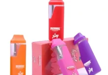 Packwoods X Runtz vape kit 2ML wegwerpverpakking 2g 380mAh #1