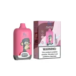 RandM Digitale Box 12000 Wegwerp Vape 12K Puffs 20ML