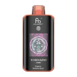 RandM Tornado 25000 Disposable Vape 25K Puffs 24ML EU Warehouse