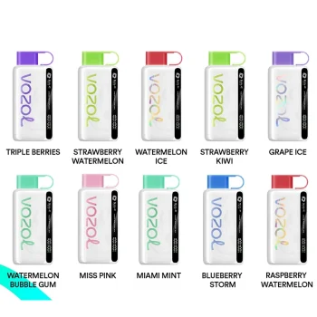 VOZOL STAR 12000 Disposable Vape 12K Puffs 24ML EU Warehouse #1