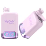 VapSolo Twins 20000 Vape desechable 20K Puffs 26ML EU Warehouse