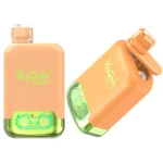 VapSolo Twins 20000 Vape desechable 20K Puffs 26ML EU Warehouse