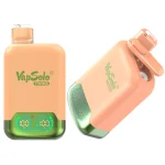 VapSolo Twins 20000 Vape desechable 20K Puffs 26ML EU Warehouse