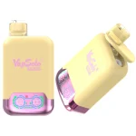 VapSolo Twins 20000 Vape desechable 20K Puffs 26ML EU Warehouse