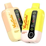 Vapsolo DG 18000 Vape jetable 18K Puffs 28ML EU Warehouse