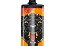 Vapsolo King 10000 Vape Desechable 10K Puffs 20ML EU Warehouse