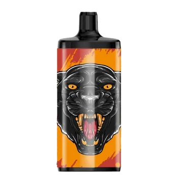 Vapsolo King 10000 Disposable Vape 10K Puffs 20ML EU Warehouse