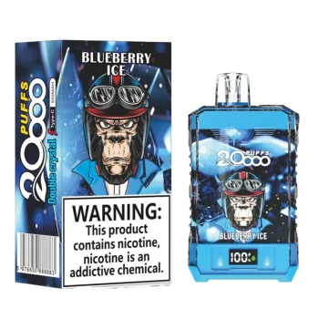 blueberry ice Bang King 20000 Disposable Vape 20k Puffs 25mL #5