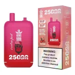 Bang King 25000 Disposable Vape 15K Puffs 23+23ml Double Pod
