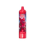 VAPME Monster 16000 Wegwerpvape 16K Puffs 26ML