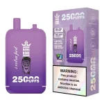 Bang King 25000 Disposable Vape 15K Puffs 23+23ml Double Pod