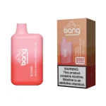 Bang Box BC5000 Wegwerp Vape 5K Puffs 13ML