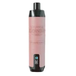 VAPME Crown Bar 18000 Pro Max Einweg Vape 18K puffs 25ML Hookah