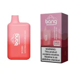 Bang Box BC5000 Wegwerp Vape 5K Puffs 13ML