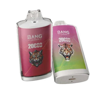 Puff 20k Bang Leader 20000 Puffs Disposable Vape Crystal Case EU Warehouse #1