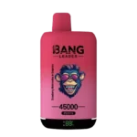 Puff 45k Bang Leader 45000 Puffs Disposable Vape 2 in 1 Flavor EU Warehouse #1
