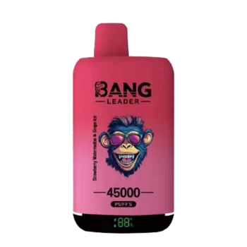 Puff 45k Bang Leader 45000 Puffs Disposable Vape 2 in 1 Flavor EU Warehouse #1
