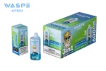 Puff 60k WASPE 60000 Puffs Disposable Vape 3 in 1Flavor EU Warehouse #1